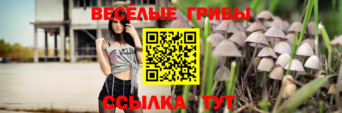 Псилоцибиновые грибы Psilocybine cubensis  Вход с VPN  закладка  Ликино-Дулёво 